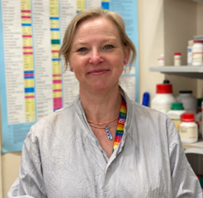 Mechanism of urinary tract infections and the role of microbes