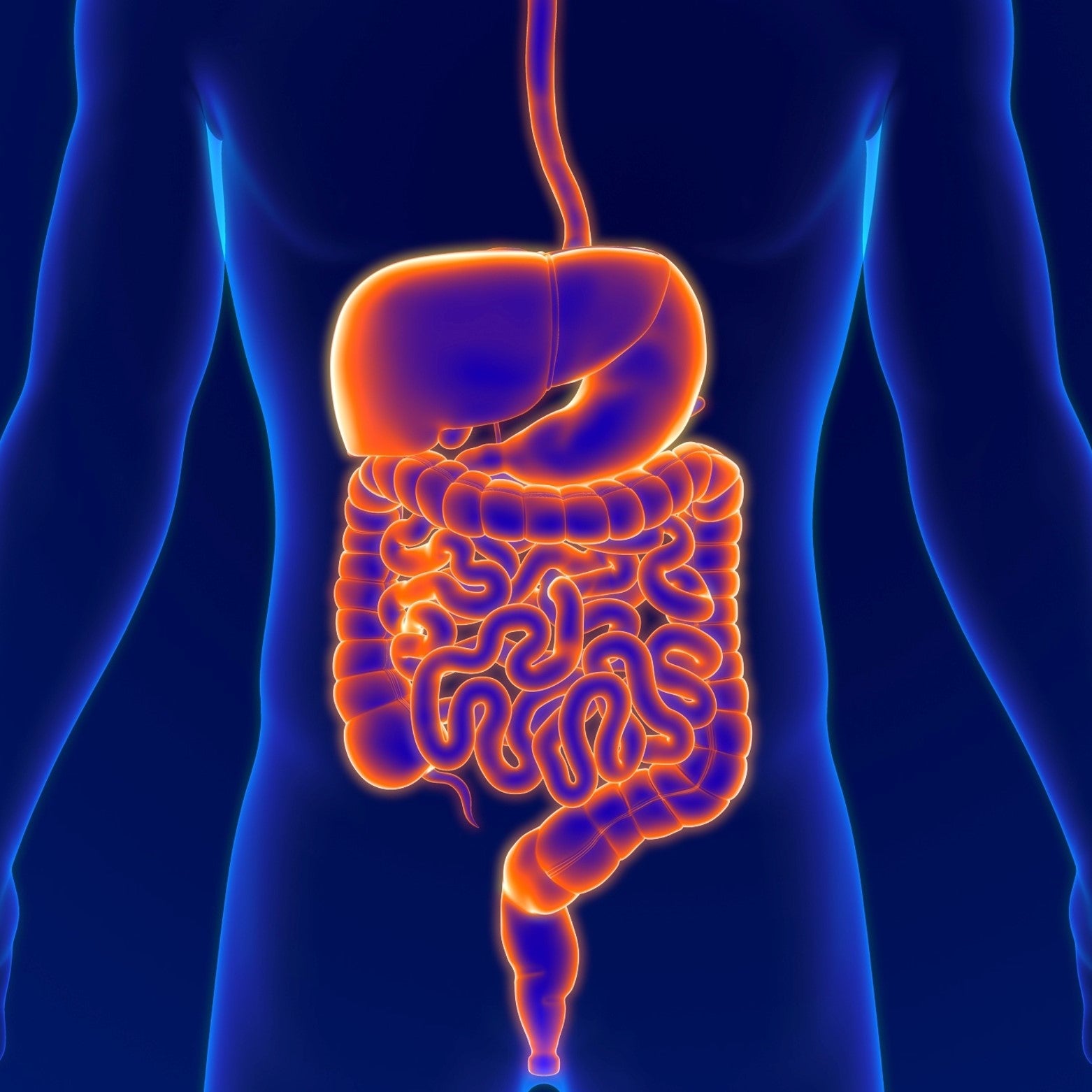 Gut-liver axis in health and perturbations in chronic liver disease