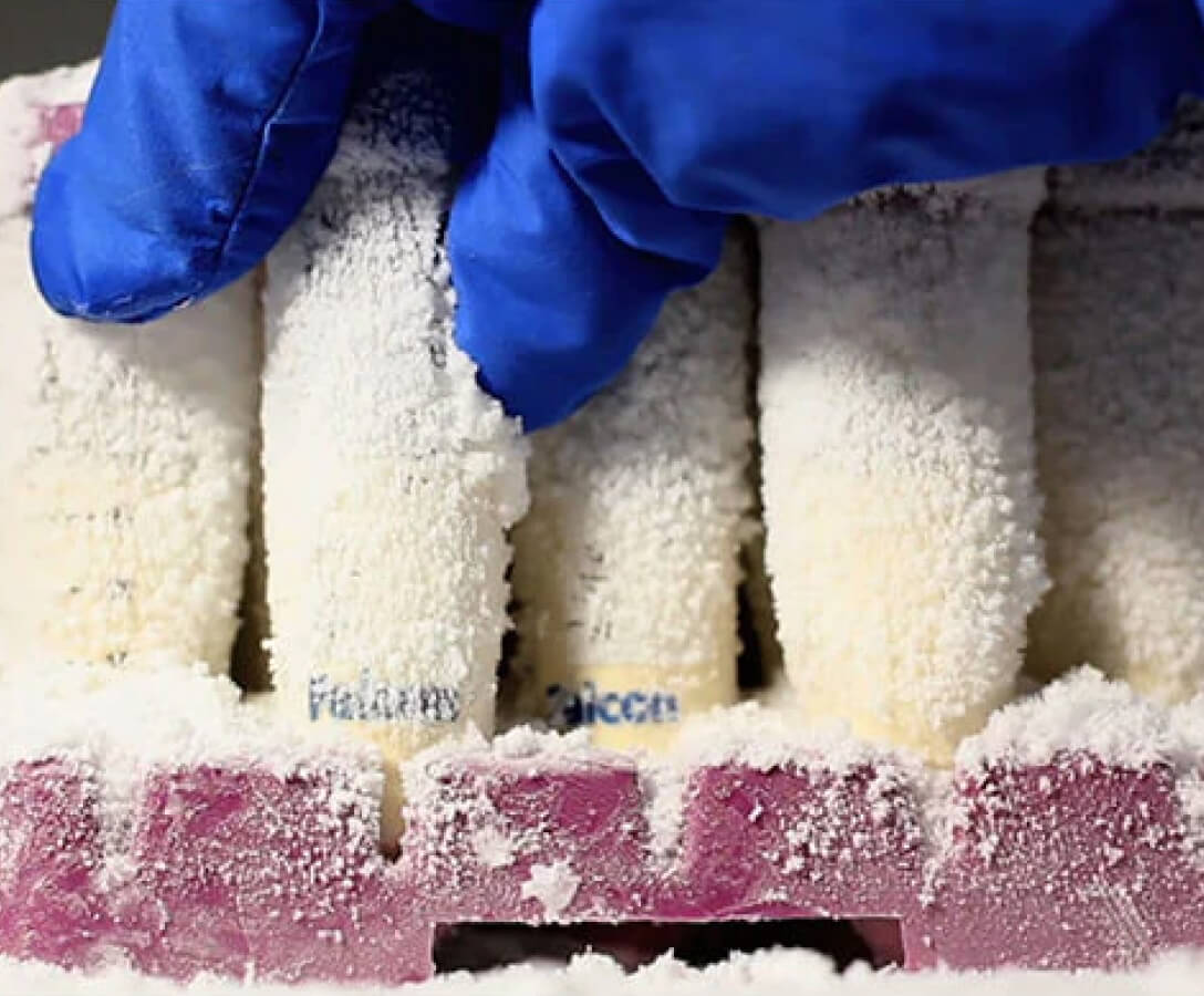 Gut-microbiome targeted therapies