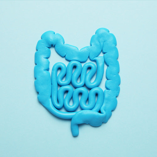 The dietary management of SIBO