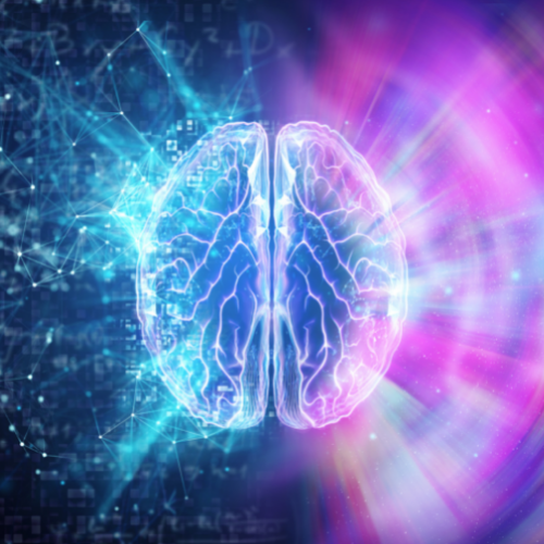 The circadian rhythm-microbiome-metabolism connection