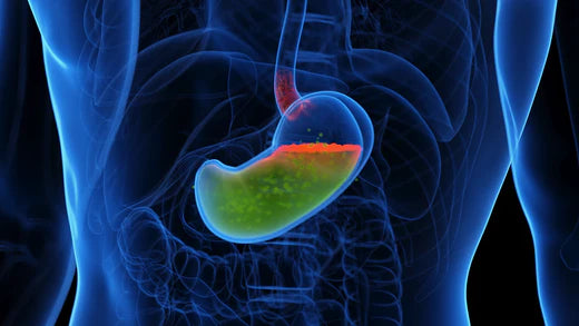 GERD and probiotics