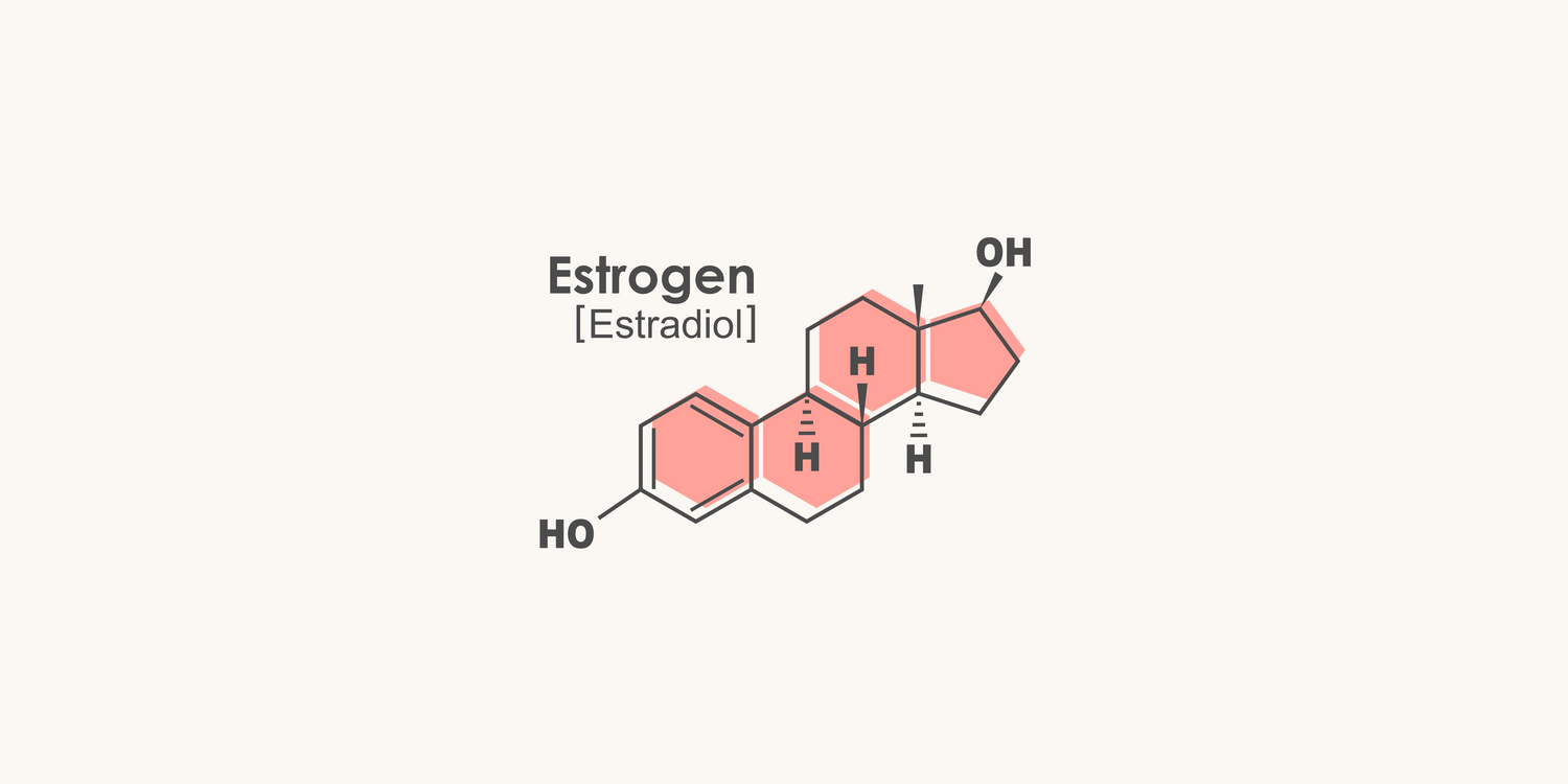 The Estrobolome