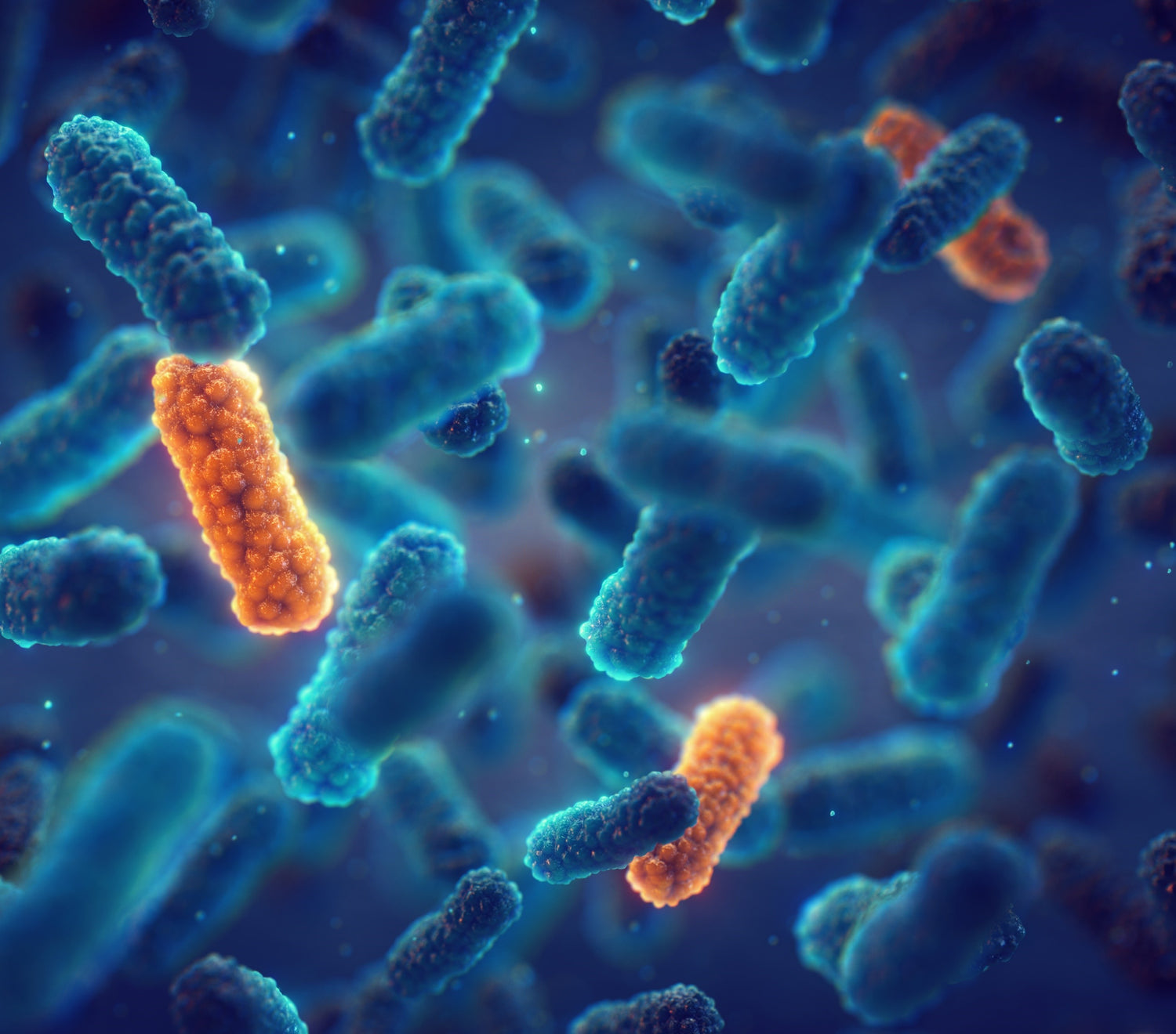 Putting the spotlight on probiotics
